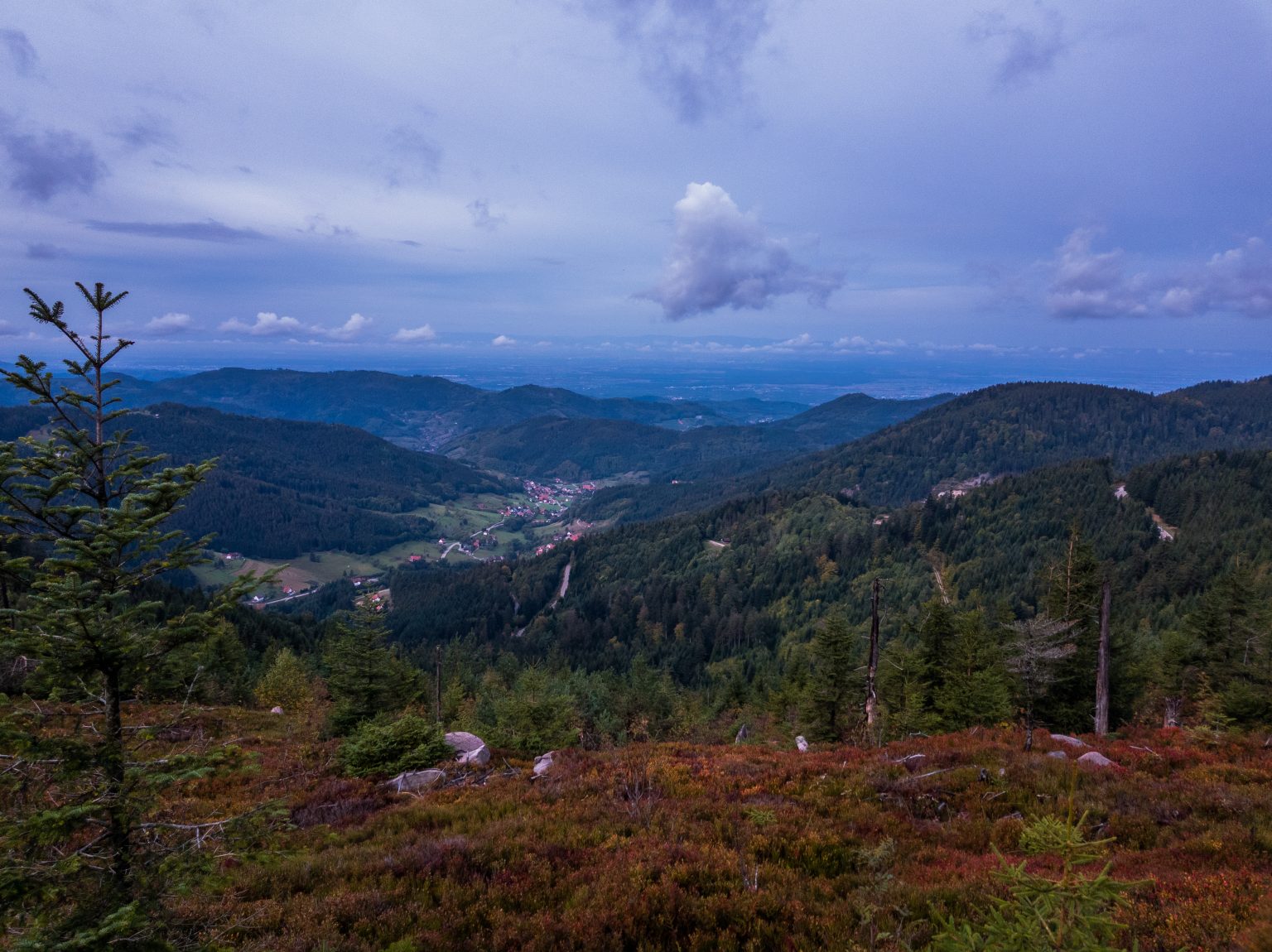 Wanderung_Mummelsee-2