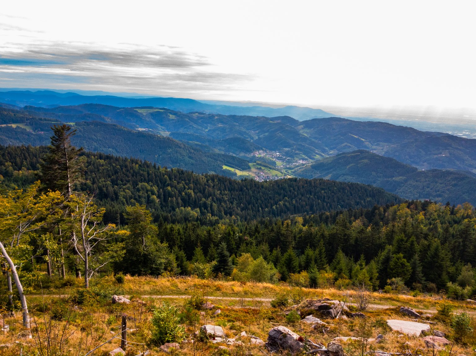 Wanderung_Mummelsee-7