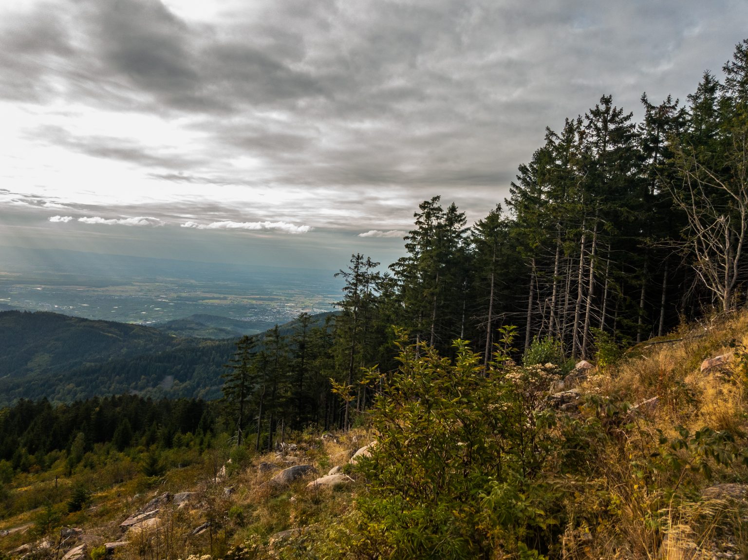 Wanderung_Mummelsee-8