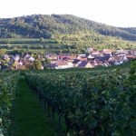 Kaiserstuhl