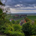 Wandern in der Pfalz