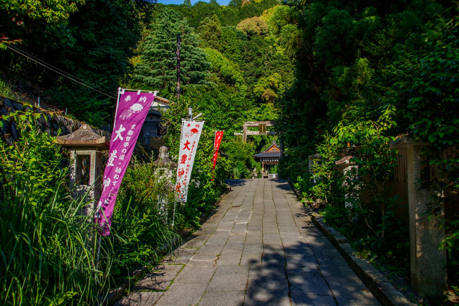Kyoto – Otoyo jinja-02