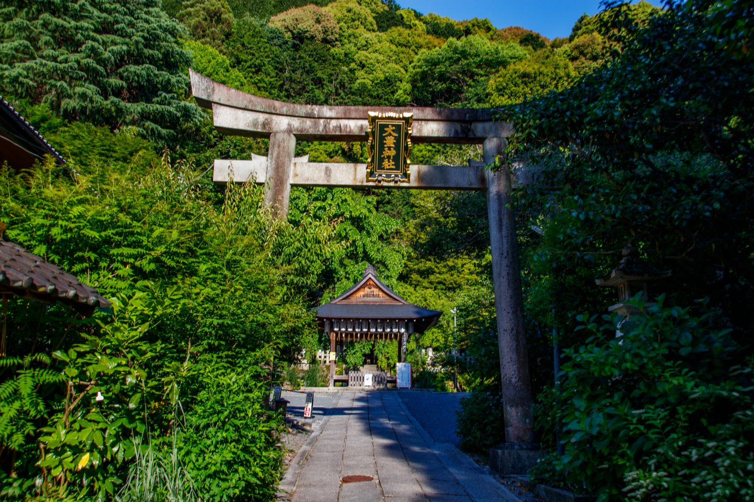 Kyoto – Otoyo jinja-03