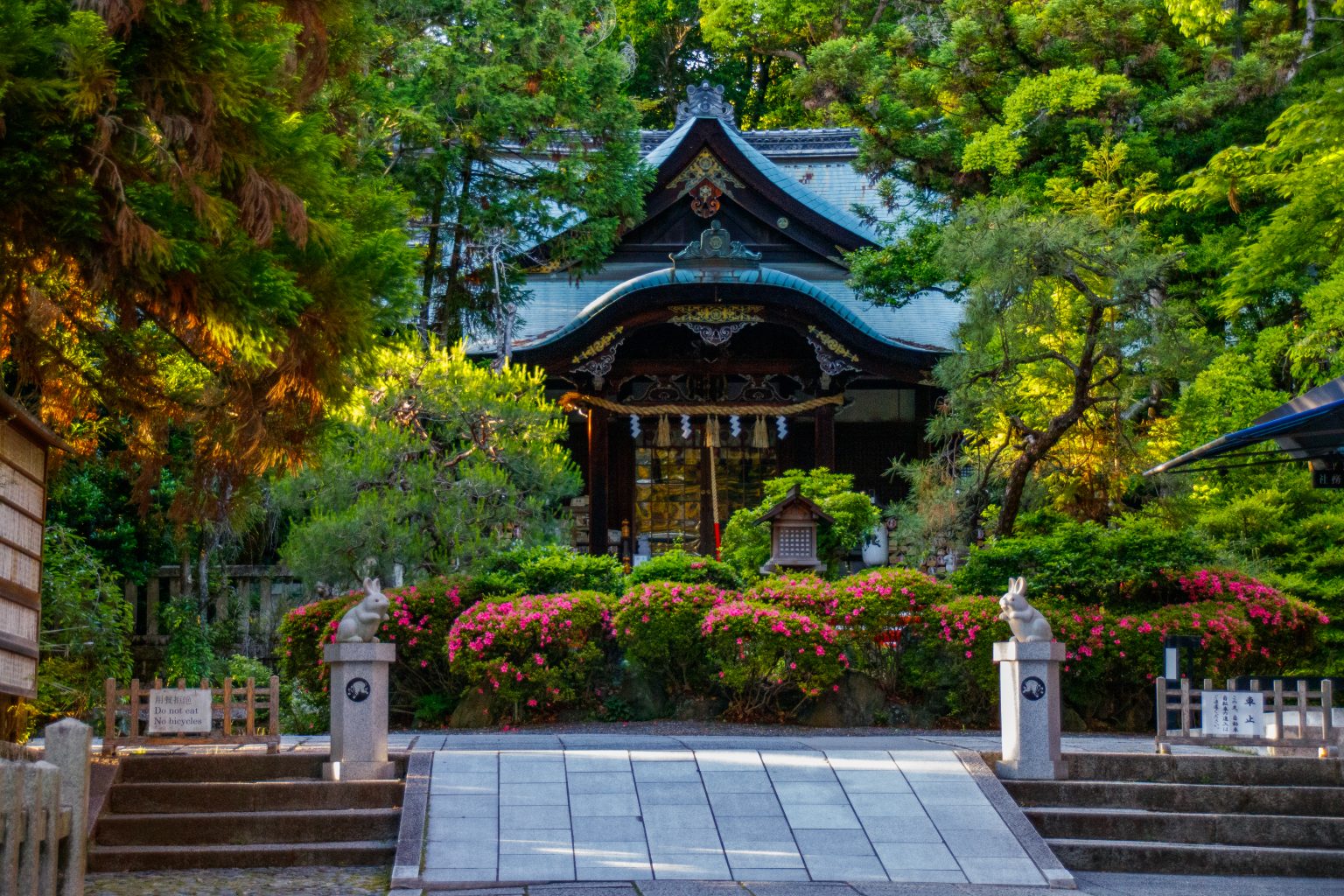 Kyoto – Otoyo jinja-16