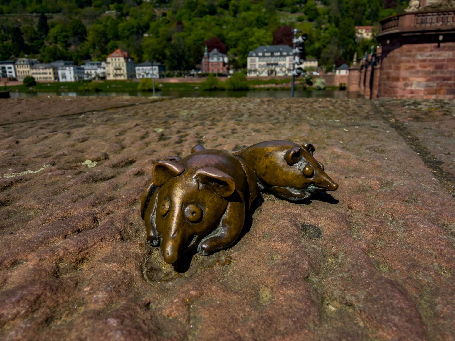Heidelberg-2026-05