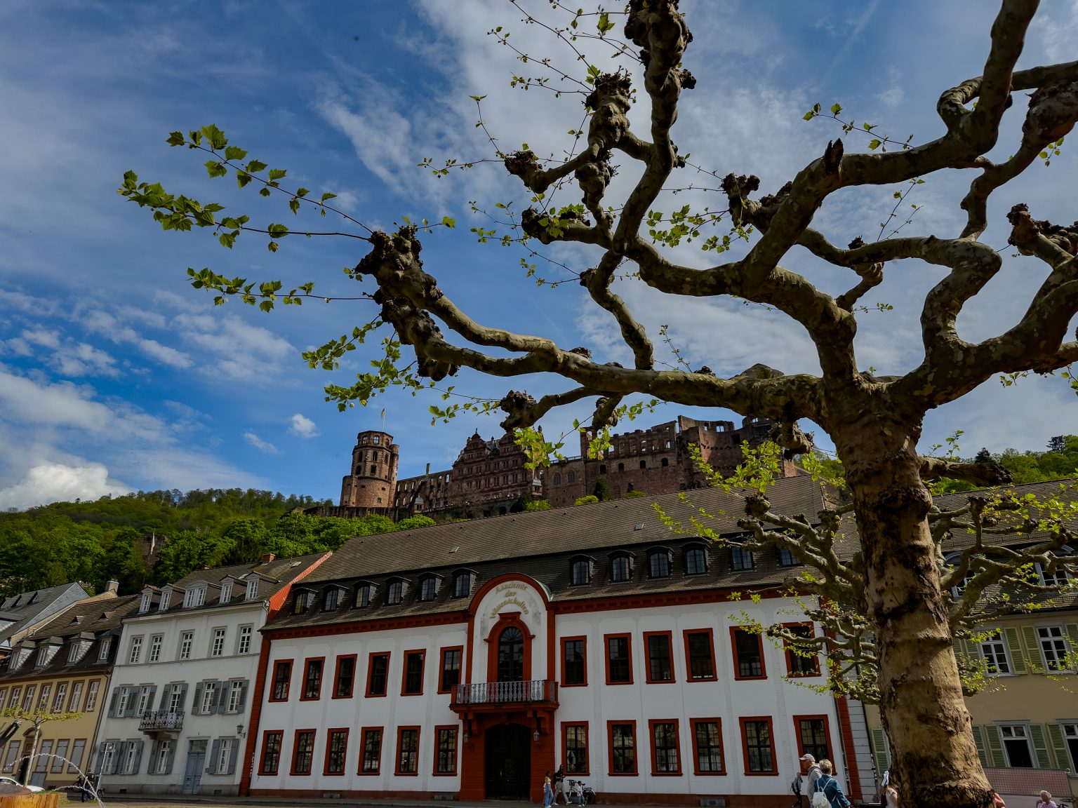 Heidelberg-2026-10