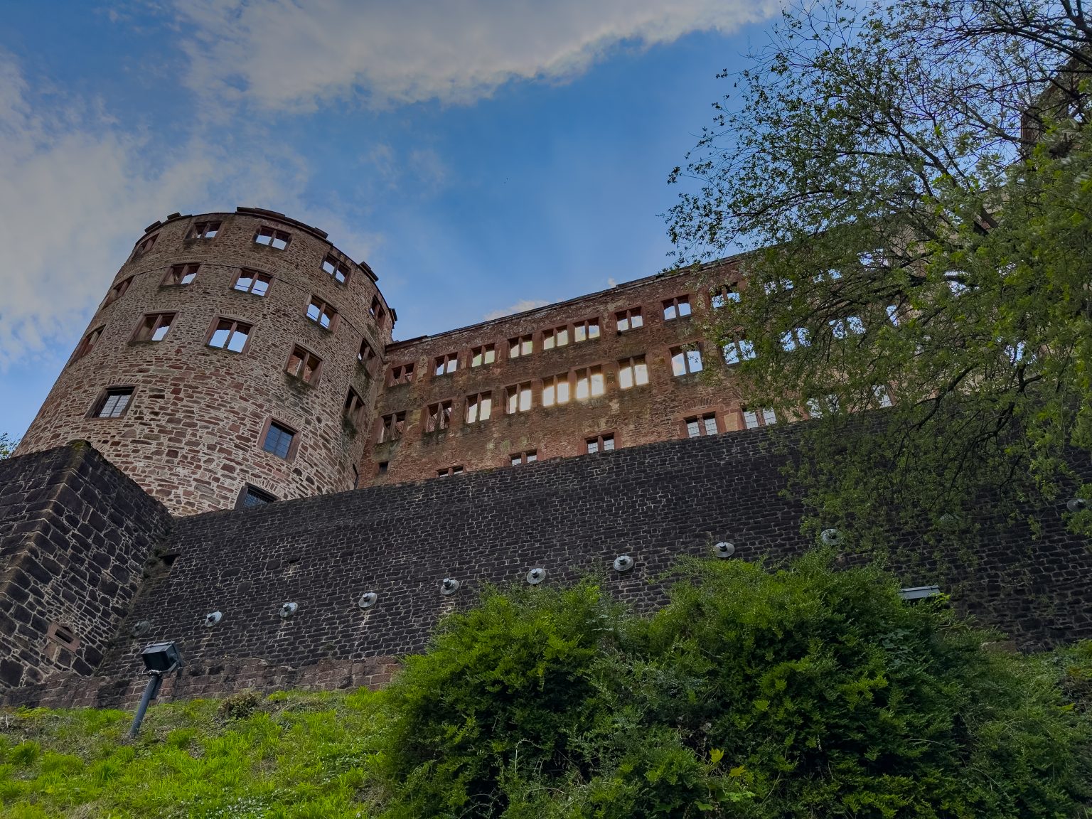 Heidelberg-2026-11