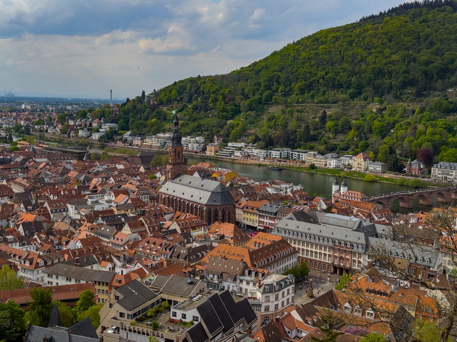 Heidelberg-2026-16