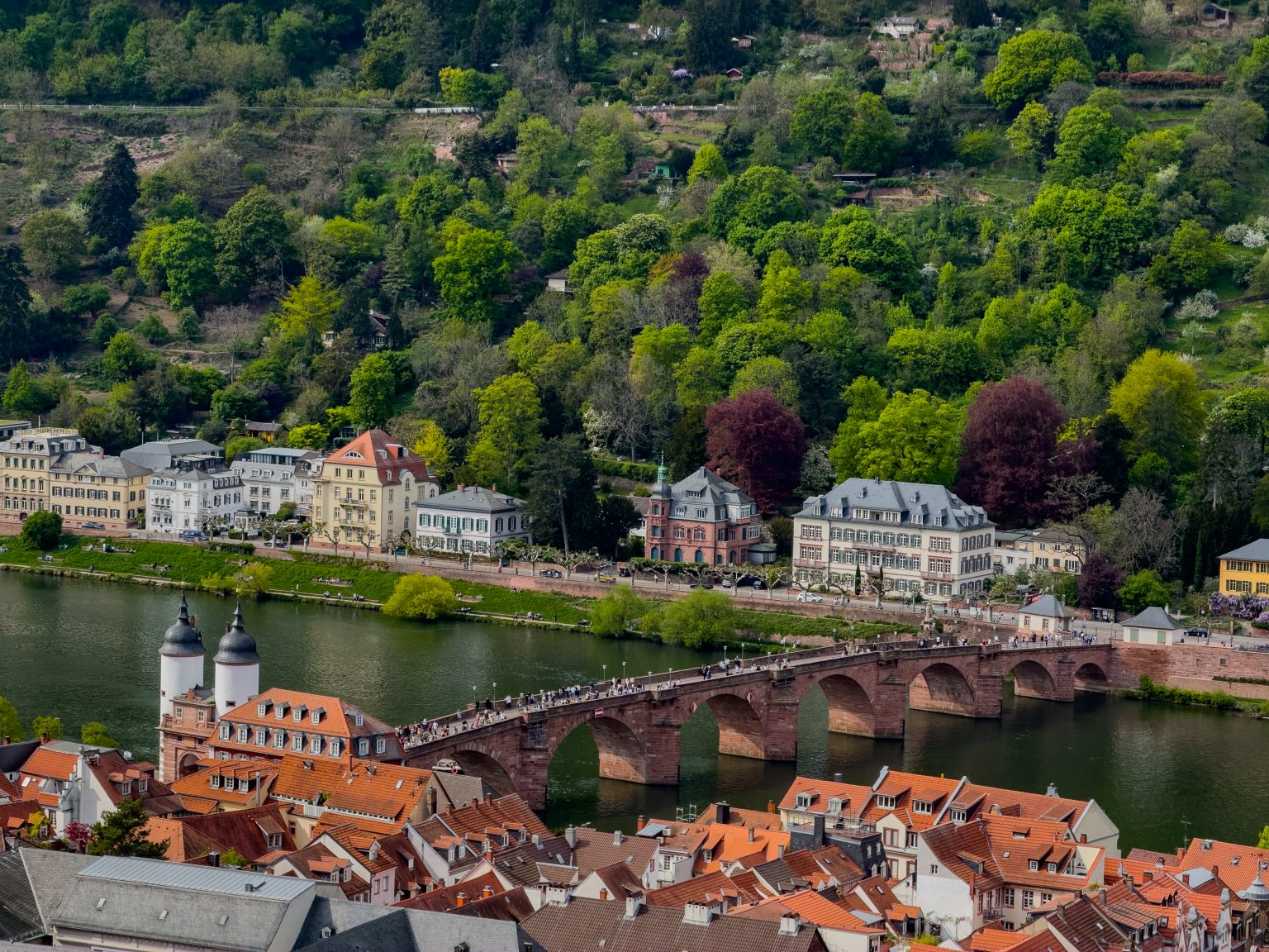 Heidelberg-2026-18