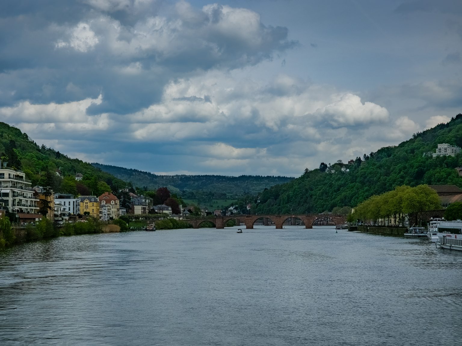 Heidelberg Neckarfahrt-2024-01