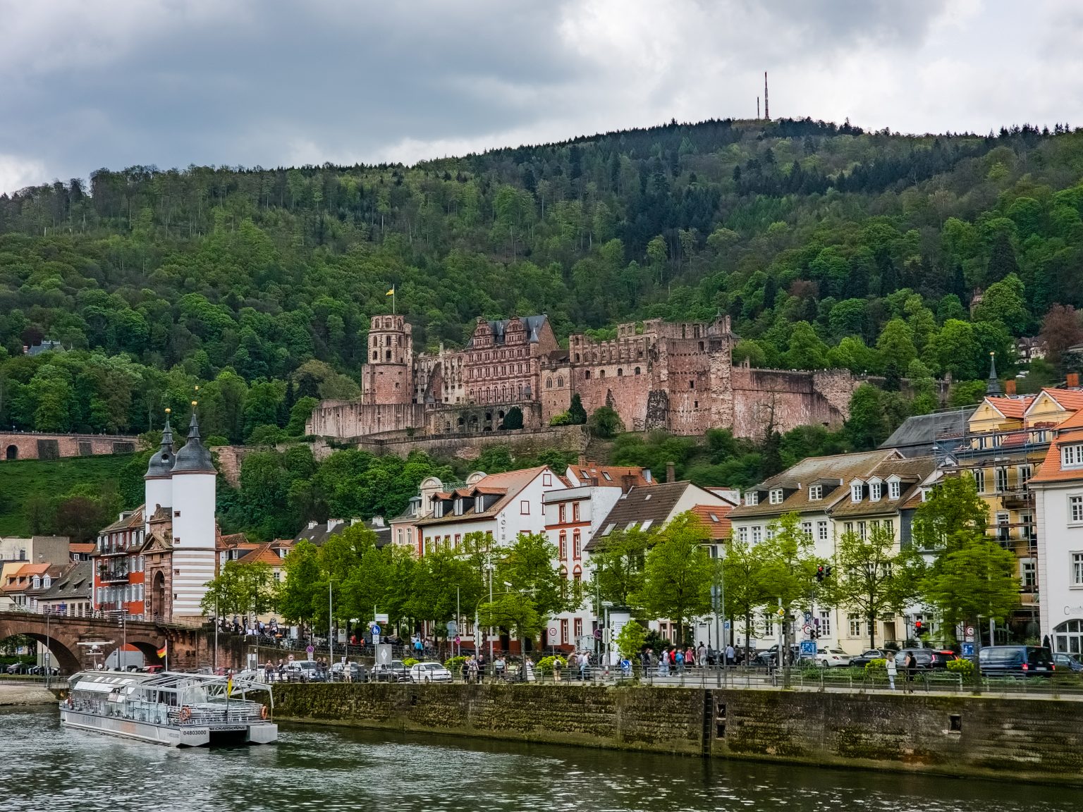 Heidelberg Neckarfahrt-2024-02