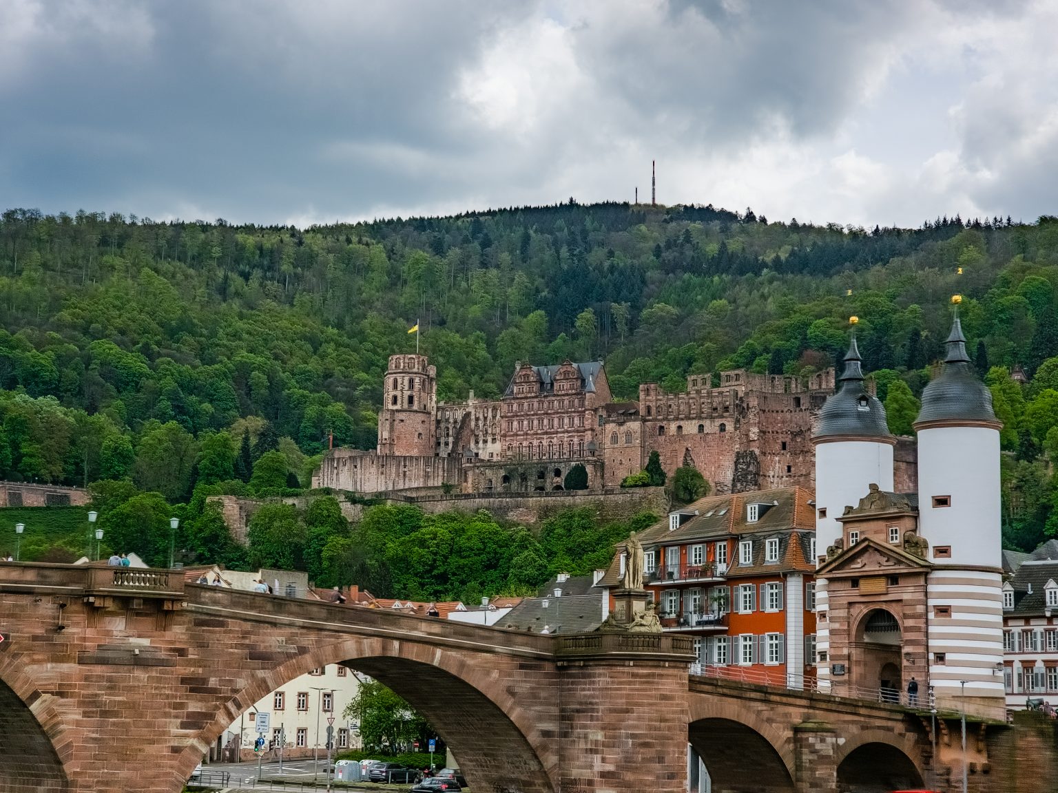 Heidelberg Neckarfahrt-2024-05