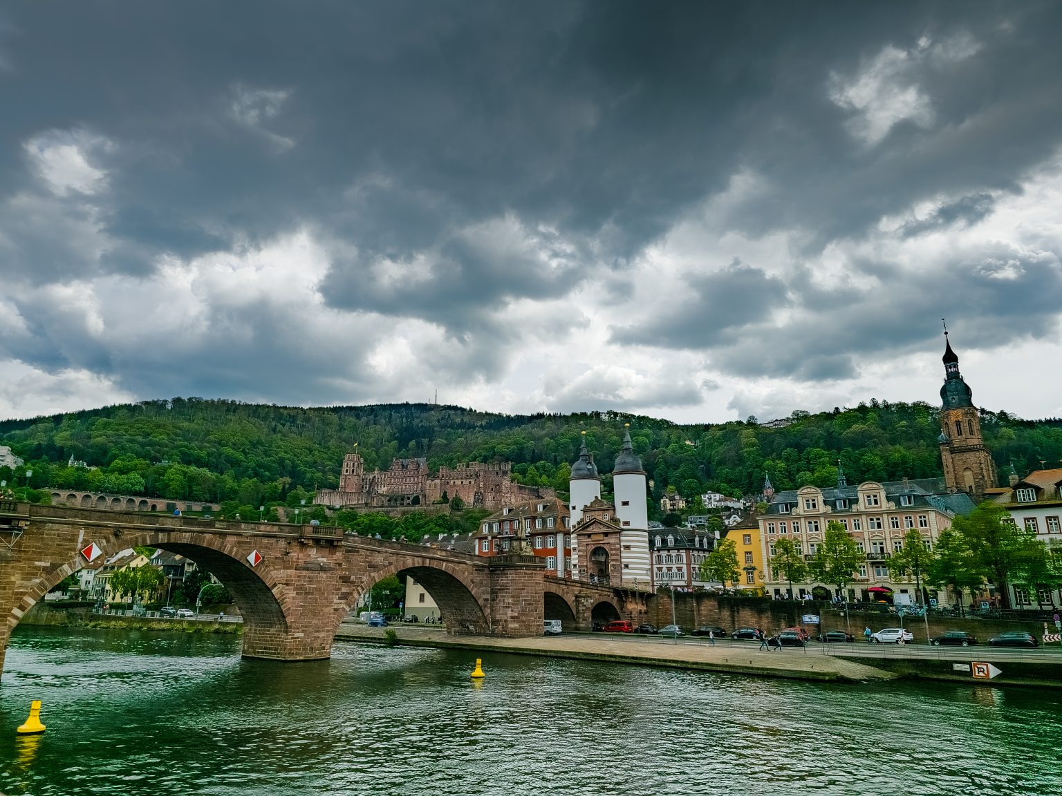 Heidelberg Neckarfahrt-2024-06