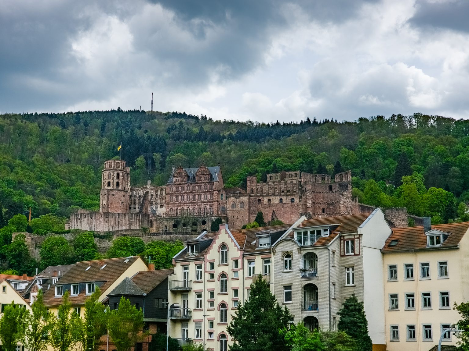 Heidelberg Neckarfahrt-2024-08