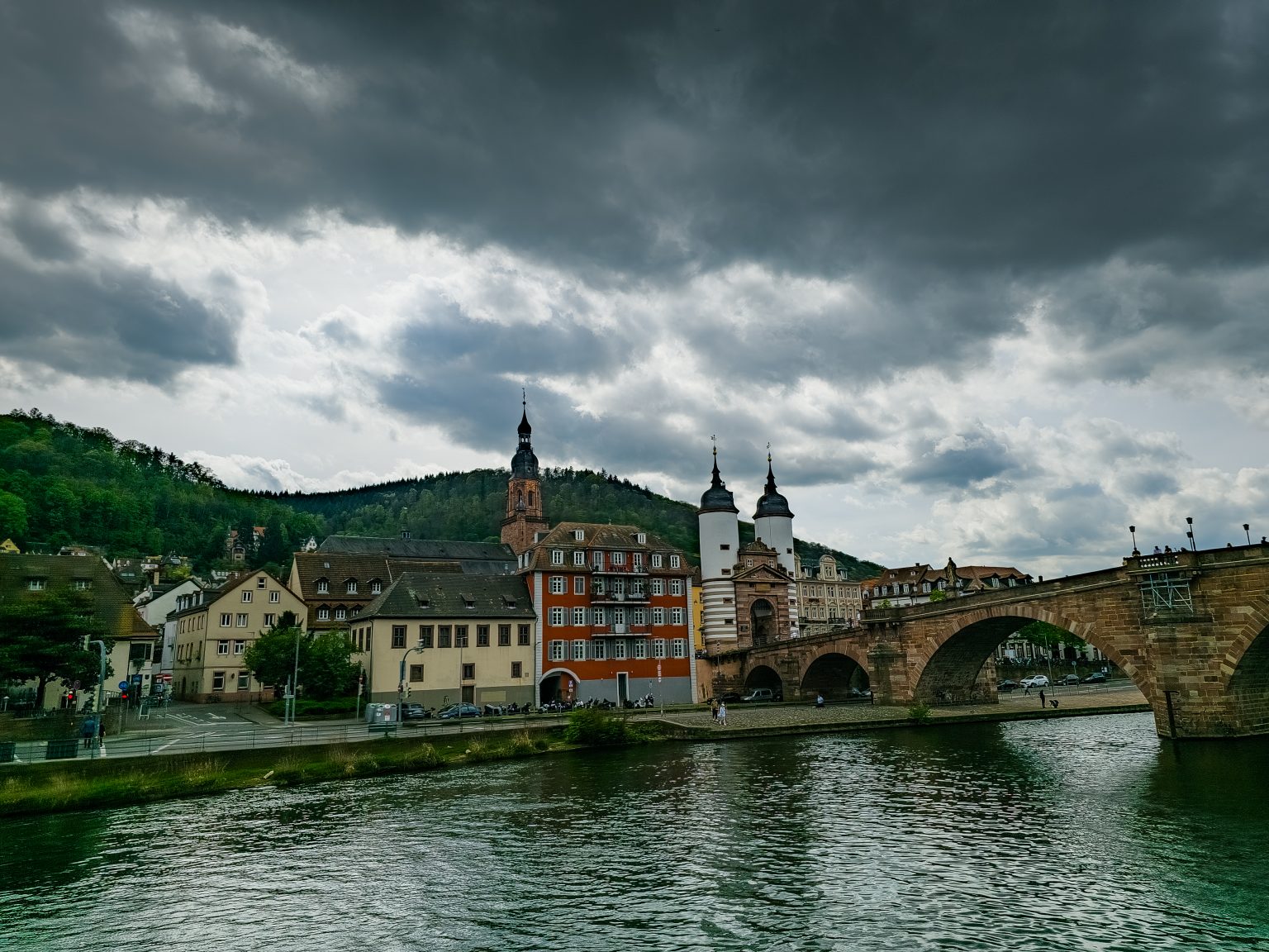 Heidelberg Neckarfahrt-2024-09