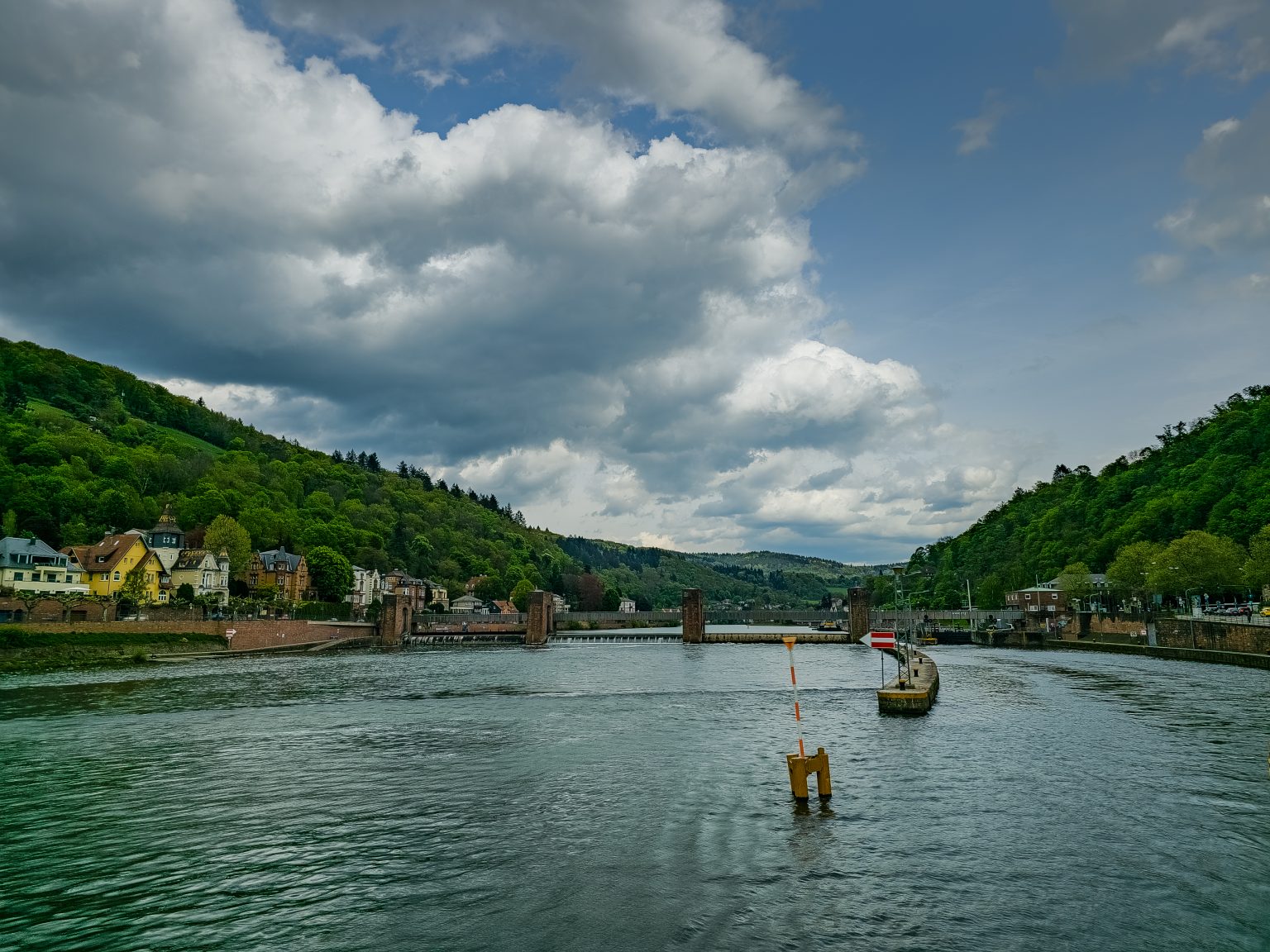 Heidelberg Neckarfahrt-2024-12