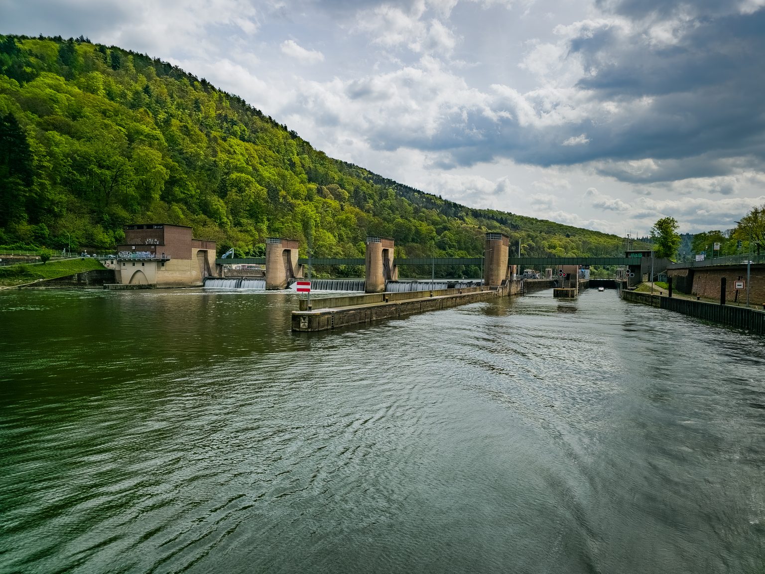 Heidelberg Neckarfahrt-2024-14