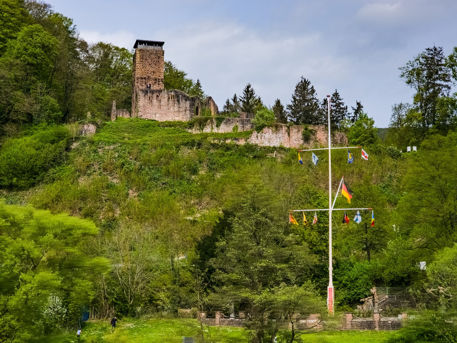 Heidelberg Neckarfahrt-2024-21