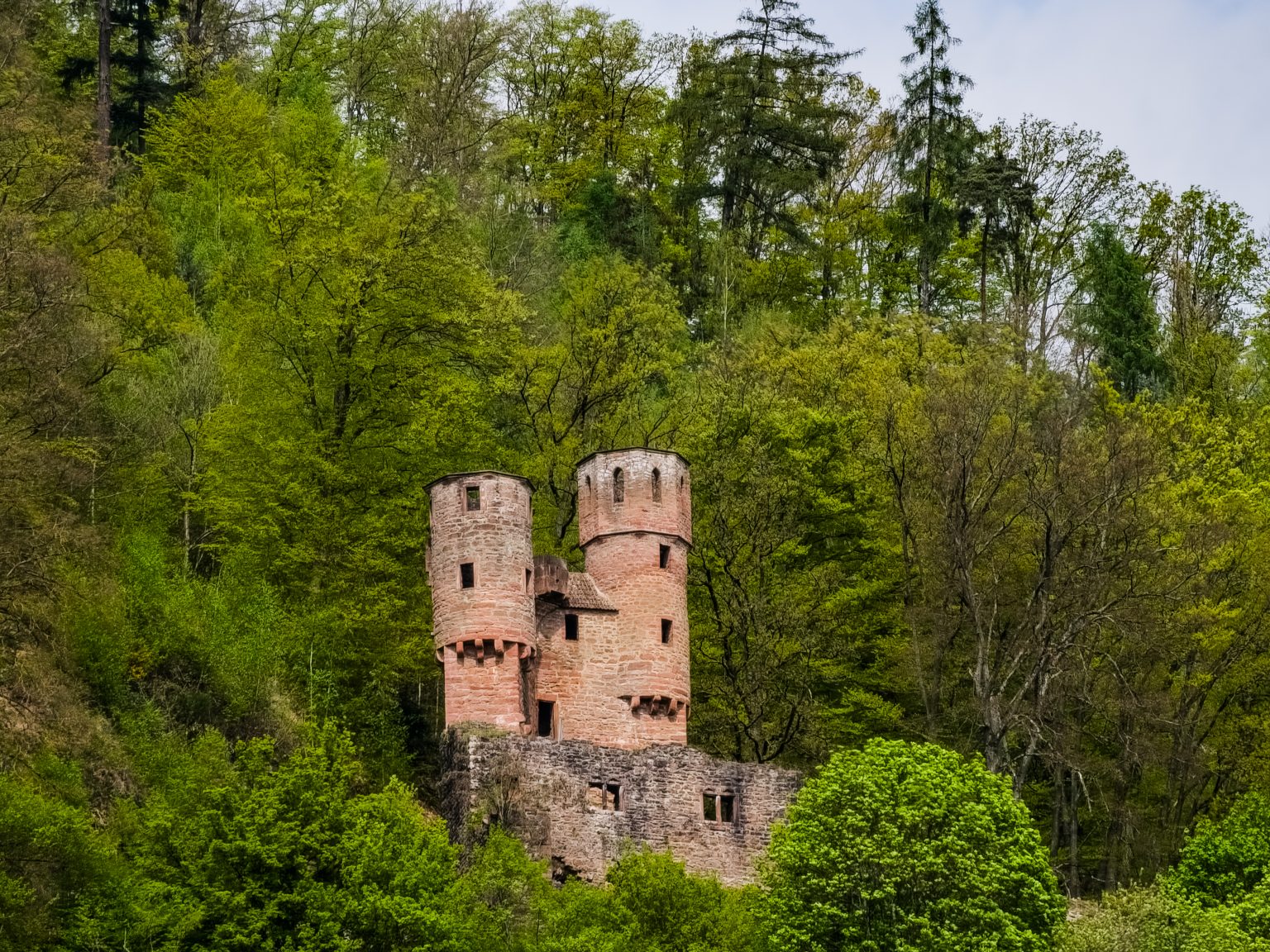 Heidelberg Neckarfahrt-2024-22