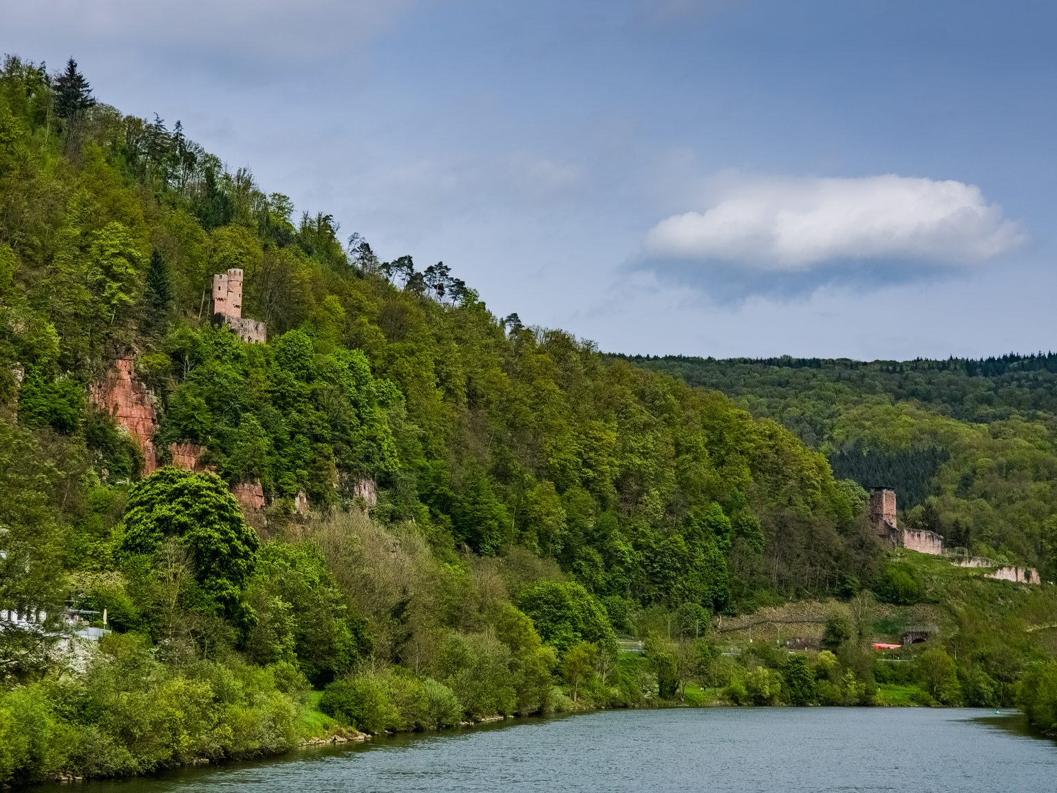 Heidelberg Neckarfahrt-2024-23
