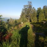 Hornisgrinde und Mummelsee