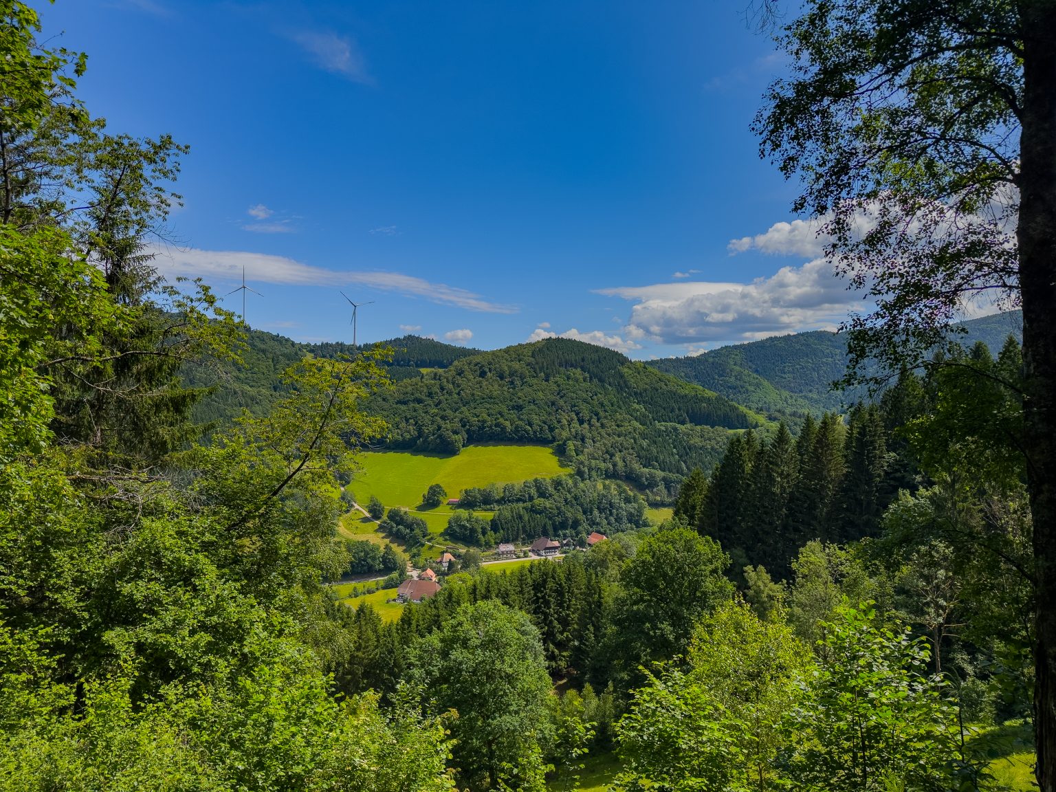 Wanderungen Oberprechtal-2026-06