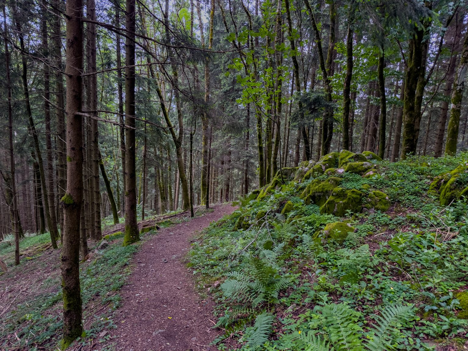 Wanderungen Oberprechtal-2026-09