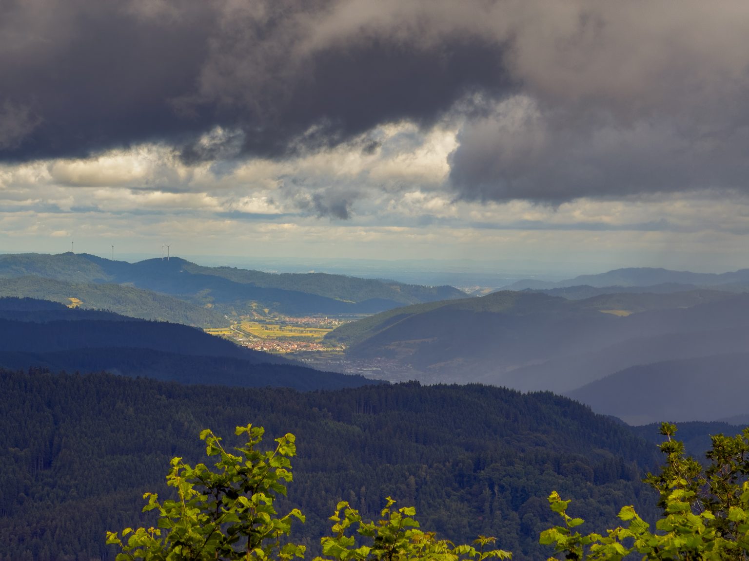 Wanderungen Oberprechtal-2026-15