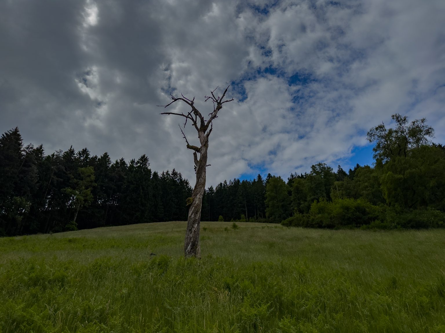 Wanderungen Oberprechtal-2026-20