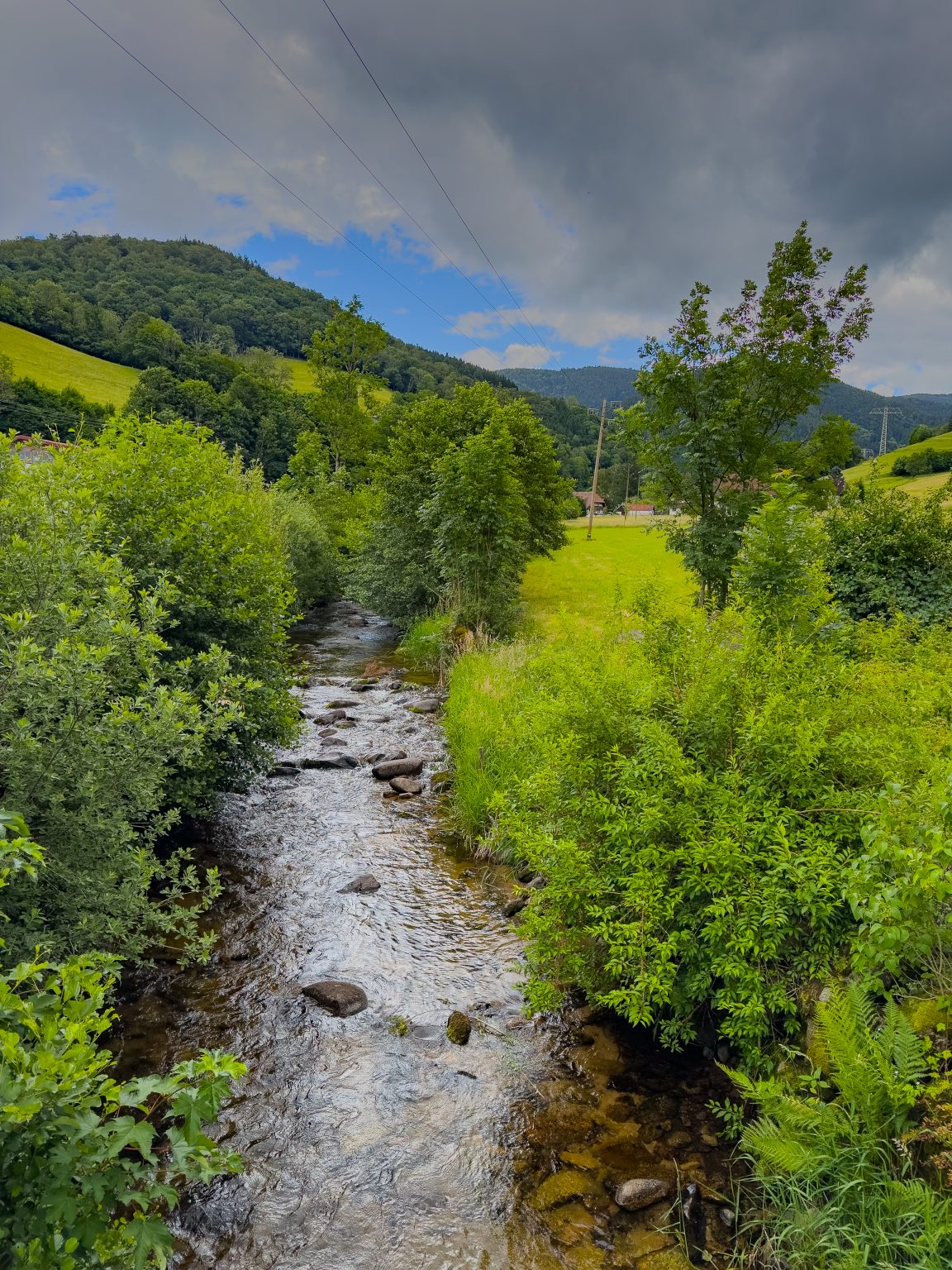 Wanderungen Oberprechtal-2026-22