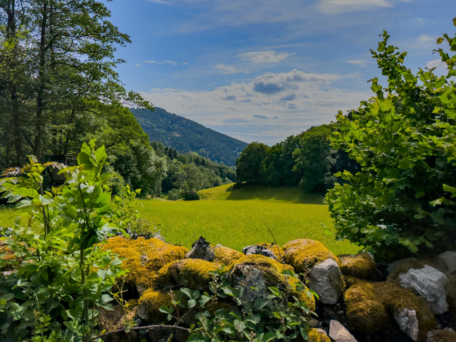 Wanderungen Oberprechtal-2026-25