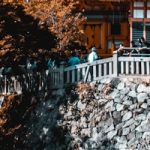 Fujiwara – Hofadel und Regentschaft