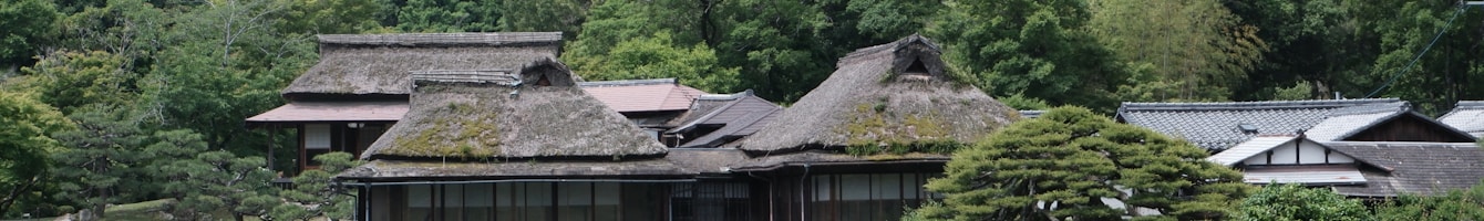 Hikone Castle als Header für die Ii-Seite