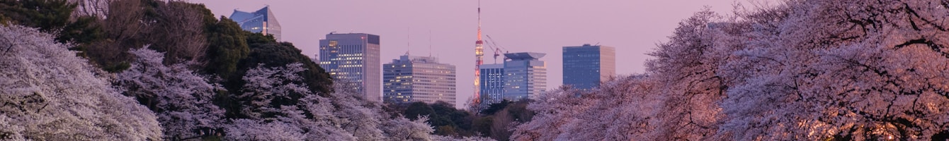 Wasserlandschaft in Tokyo als Header für Kiyosumi-Shirakawa