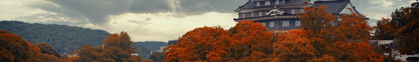 Japanische Burglandschaft als historischer Kontext für Miyamoto Musashi