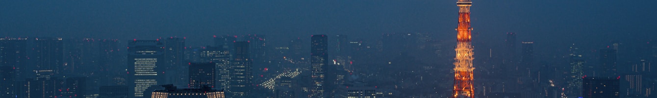 Tokyo Skyline als Header für Roppongi