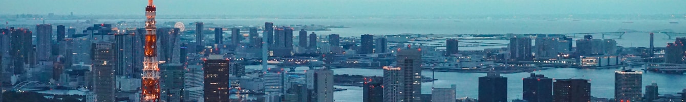 Skyline von Tokyo als Header für Shinjuku