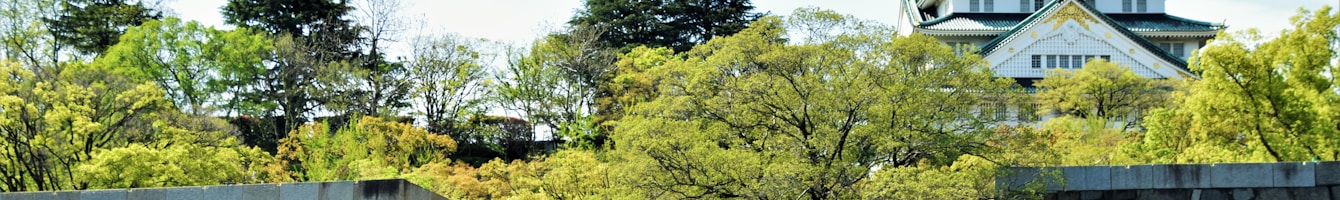 Osaka Castle als Header für die Toyotomi-Seite