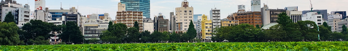 Shinobazu-Teich im Ueno-Park, Tokyo
