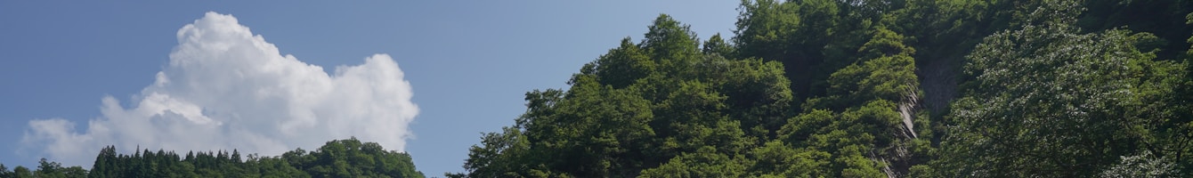 Berglandschaft in Niigata, der historischen Region Echigo