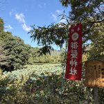 Mikami-jinja (御髪神社) – Haar-Schrein in Arashiyama